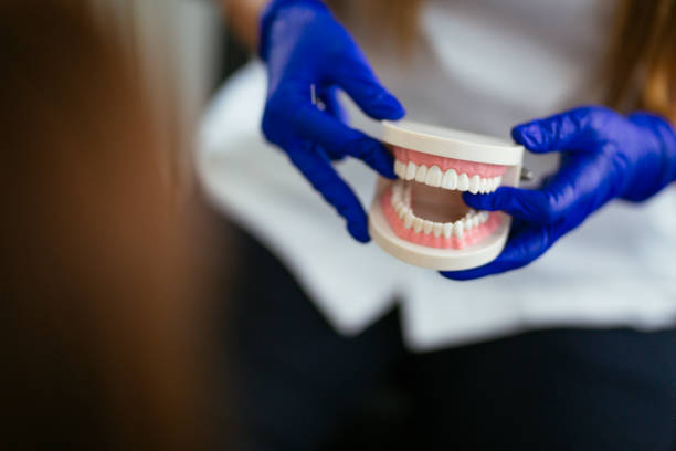 Shadeland, IN Holistic Dental Care Services Company
